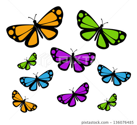 Butterfly. Vector illustration design Butterfly. Vector illustration design 136076485