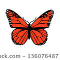 Butterfly. Vector illustration design 136076487