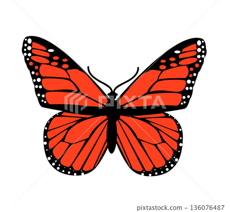 Butterfly. Vector illustration design 136076487