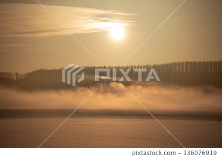 A tranquil landscape photo of Hokkaido, where the sun rises over the winter plains shrouded in morning mist, bathing it in golden light. 136076919