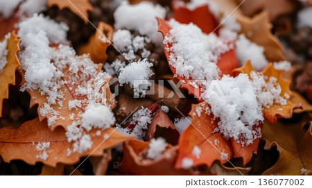 Autumn Leaves First Frost: A Winter's Gentle Embrace 136077002