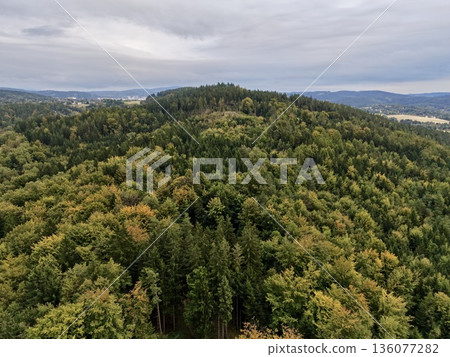 Mountains With Diverse Tree Cover, Peaceful Green Landscape Showcasing Mixed Woodland And Rolling Hills 136077282