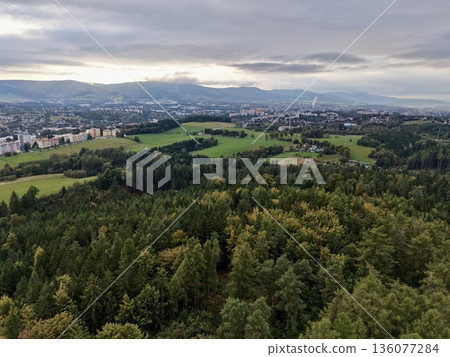 Forest Landscape Overview, Scenic Forest Overlook With Town, Aerial Scene Of Woods And Nearby Settlement Forest Landscape Overview, Scenic Forest Overlook With Town, Aerial Scene Of Woods And Nearby Settlement 136077284