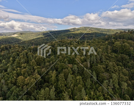 Expansive View Capturing Sunlit Rolling Timbered Ridges And Picturesque Scenery Suitable For Exploration Expansive View Capturing Sunlit Rolling Timbered Ridges And Picturesque Scenery Suitable For Exploration 136077332