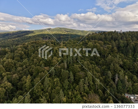 Colorful Woodland During Early Fall, Scenic Aerial Perspective Of Autumnal Woodland With Bright Foliage 136077333