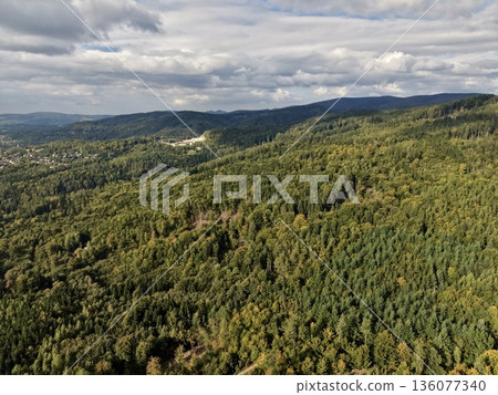 High Above Ground Corridor Connecting Woodland Areas Over Gently Sloping Landscape For Ecological Purposes High Above Ground Corridor Connecting Woodland Areas Over Gently Sloping Landscape For Ecological Purposes 136077340