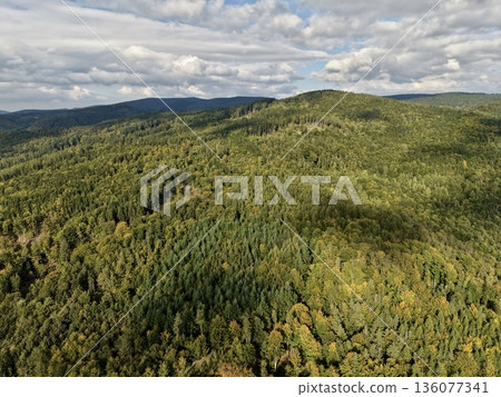 Vibrant Aerial Scene Showcasing Luminous Mountain Crests Alongside Shaded Woodland Gorges With Layered Light Vibrant Aerial Scene Showcasing Luminous Mountain Crests Alongside Shaded Woodland Gorges With Layered Light 136077341