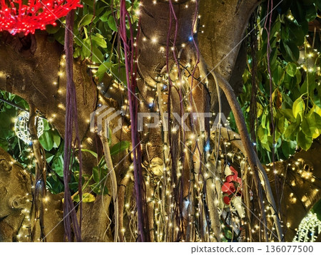 Lighting festive tree, Illuminated banyan tree decorated with warm fairy lights and red lanterns Lighting festive tree, Illuminated banyan tree decorated with warm fairy lights and red lanterns 136077500