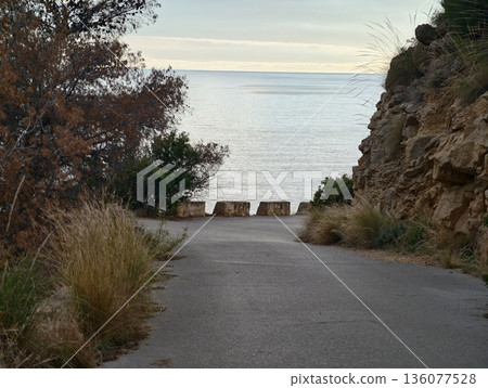 Coastal path leads to calm waters, Tranquil coastline pathway offers perfect sunset and meditation spot 136077528