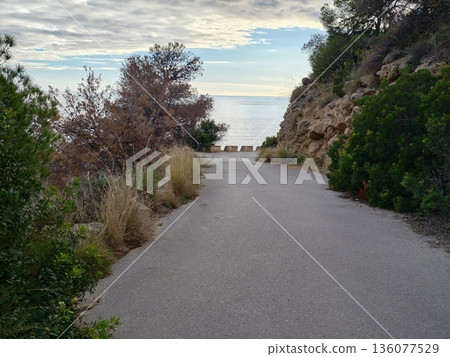 Peaceful seaside pathway lined with vibrant shrubs and calm atmosphere for outdoor activities Peaceful seaside pathway lined with vibrant shrubs and calm atmosphere for outdoor activities 136077529