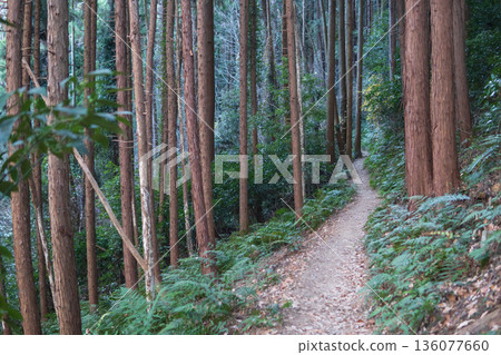 秩父外域七峰健行路線:石尊岳、觀之倉岳、埼玉縣小川町 秩父外域七峰健行路線:石尊岳、觀之倉岳、埼玉縣小川町 136077660