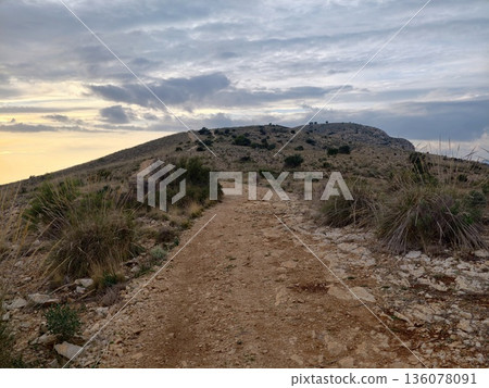 Sunset scenic walk, Evening illumination highlighting winding path and distant horizons landscape 136078091