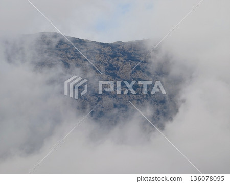 Serene concealed environment featuring blurred outlines and muted hues for thoughtful visual composition Serene concealed environment featuring blurred outlines and muted hues for thoughtful visual composition 136078095