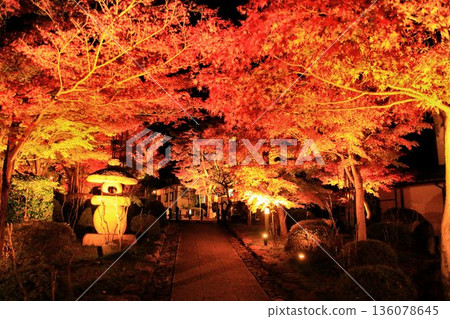 Burning trees... A temple garden at the peak of autumn foliage 136078645