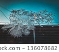 Winter frost flowers on the window 136078682