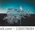 Winter frost flowers on the window 136078684