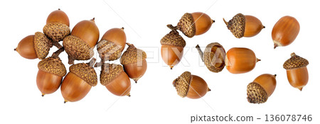 Brown acorn oak nut isolated on white background. Top view. Flat lay 136078746