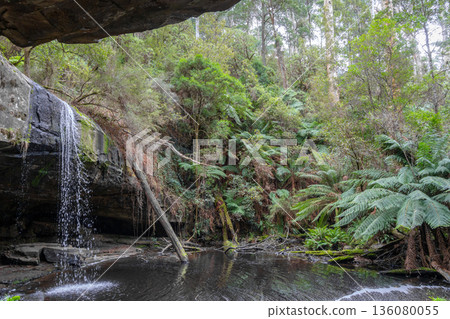 Kalimna Falls along Cumberland River trek, Great Ocean Road, Australia Kalimna Falls along Cumberland River trek, Great Ocean Road, Australia 136080055