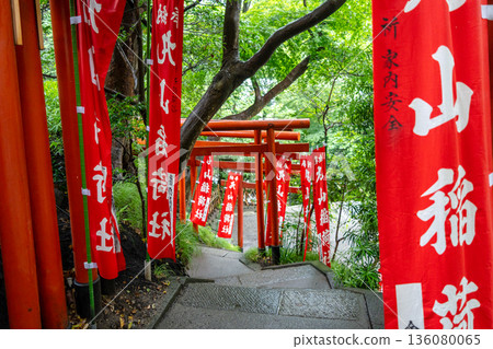 Torii gates and flags at Maruyama Inari Shrine in Kamakura 136080065