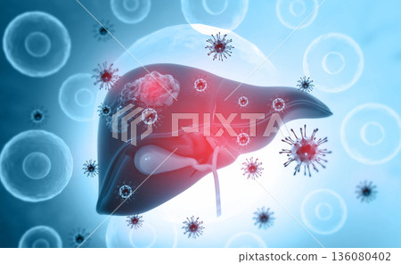 Viral infection on human  liver 136080402