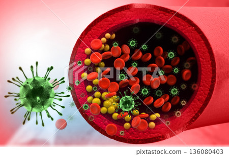 Virus infecting the blood cells in veinblood stream Virus infecting the blood cells in veinblood stream 136080403
