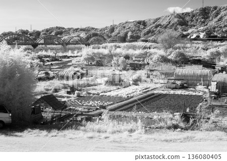 [Infrared photo] Fields and arch bridge on the Fuji River riverbed (monochrome) 136080405