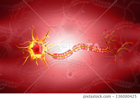Neuron cells background Neuron cells background 136080425