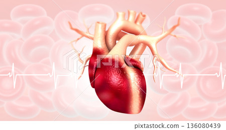 Anatomy of Human Heart 136080439