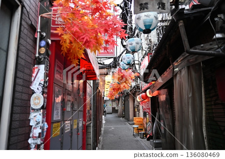 Shinjuku Omoide Yokocho retro drinking district 136080469