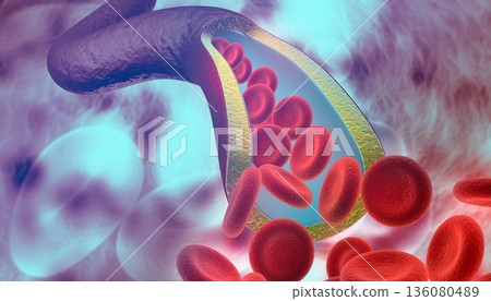 Red blood cells in vein 136080489