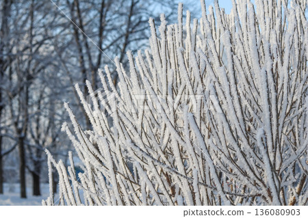 Frozen branches coated in glistening hoarfrost and rime ice crystals on a cold winter day outdoors 136080903