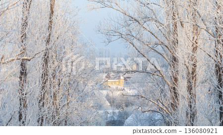 Winter trees covered in rime frost framing a peaceful village scene with houses in a snowy rural landscape Winter trees covered in rime frost framing a peaceful village scene with houses in a snowy rural landscape 136080921