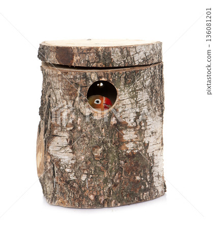 bird nest box and lovebird bird nest box and lovebird 136081201