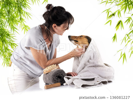 Shetland Sheepdog and woman in studio 136081227