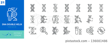 DNA Double Helix Icons Set. Genetics, Gene Editing, Mutation, Research, Test Tube, GMO, Bioengineering, and Medical Science. Linear Vector Pack. DNA Double Helix Icons Set. Genetics, Gene Editing, Mutation, Research, Test Tube, GMO, Bioengineering, and Medical Science. Linear Vector Pack. 136081486