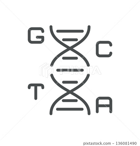 DNA Bases Icon. Outline Isolated Pictogram of Nucleotides GCTA, Representing Genetic Code, Sequencing and Molecular Biology. Line Icon for Science and Education Applications. DNA Bases Icon. Outline Isolated Pictogram of Nucleotides GCTA, Representing Genetic Code, Sequencing and Molecular Biology. Line Icon for Science and Education Applications. 136081490