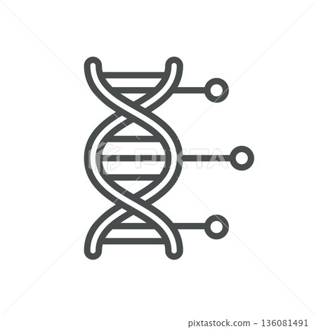 Gene Icon. Outline Isolated Pictogram of DNA Helix with Connected Nodes, Representing Gene Expression, Genetic Marker and Molecular Biology. Line Icon for Medical Applications. Gene Icon. Outline Isolated Pictogram of DNA Helix with Connected Nodes, Representing Gene Expression, Genetic Marker and Molecular Biology. Line Icon for Medical Applications. 136081491