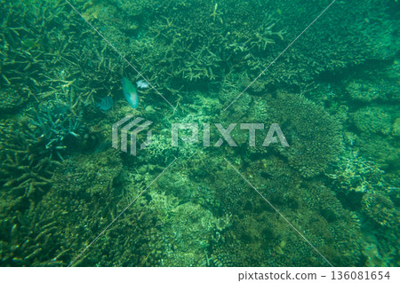 海底的 海裡 海 136081654
