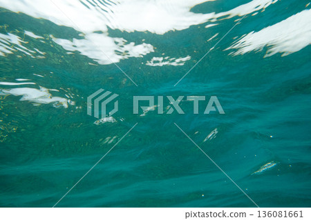 海底的 海裡 海 136081661