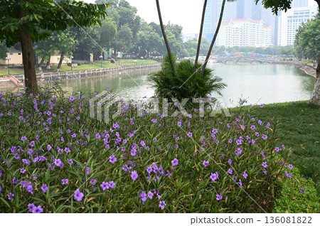 越南河內風光 越南河內風光 136081822