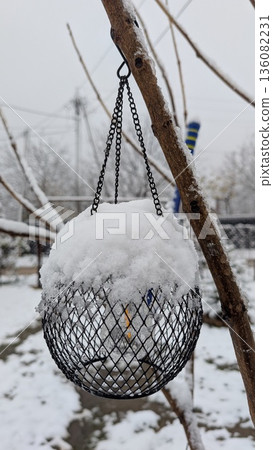 Calm backyard scene with feeding station under winter snow Calm backyard scene with feeding station under winter snow 136082231