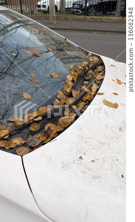 Autumn foliage decorates parked vehicle amidst city hustle 136082348
