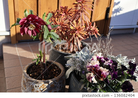 Flower arrangements and pots at the entrance Flower arrangements and pots at the entrance 136082404