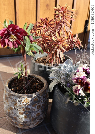 入口處的花卉擺設和盆栽 入口處的花卉擺設和盆栽 136082405