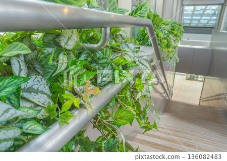 Sendai Station Sky Garden's greenery: A hanging garden decorating the stairs Sendai Station Sky Garden's greenery: A hanging garden decorating the stairs 136082483
