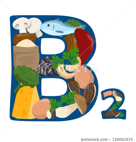 Collection of food rich of vitamin B2 136082935