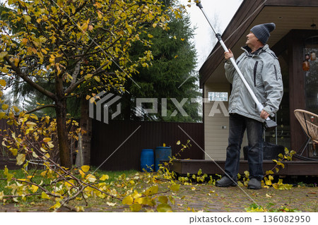Male homeowner performing tree pruning with power tool, fall season, routine landscape maintenance, practical suburban lifestyle activity. 136082950