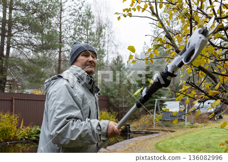 Adult man trimming branches using electric pole pruner, autumn foliage, seasonal garden care, outdoor work in private residential yard. Adult man trimming branches using electric pole pruner, autumn foliage, seasonal garden care, outdoor work in private residential yard. 136082996