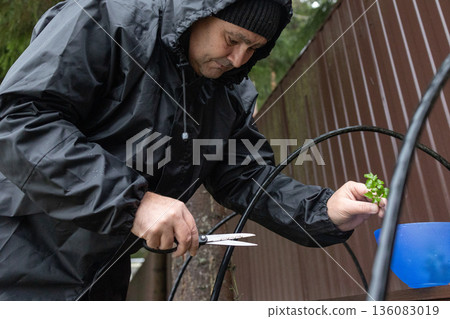Senior gardener performing outdoor plant maintenance in winter backyard wearing waterproof jacket active aging sustainability and wellbeing theme. Senior gardener performing outdoor plant maintenance in winter backyard wearing waterproof jacket active aging sustainability and wellbeing theme. 136083019