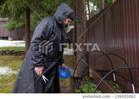 Older gardener carefully removing weeds and inspecting green sprouts near wooden fence in winter conditions with natural light and shallow depth. Older gardener carefully removing weeds and inspecting green sprouts near wooden fence in winter conditions with natural light and shallow depth. 136083062